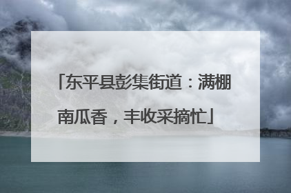 东平县彭集街道：满棚南瓜香，丰收采摘忙