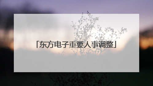 东方电子重要人事调整