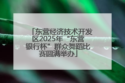 东营经济技术开发区2025年“东营银行杯”群众舞蹈比赛圆满举办