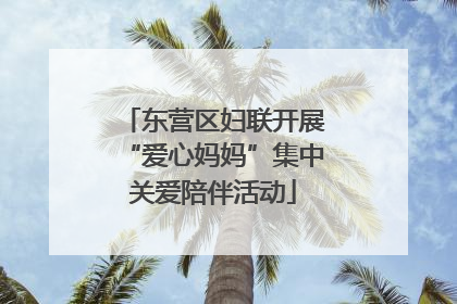 东营区妇联开展“爱心妈妈”集中关爱陪伴活动