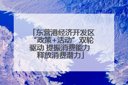 东营港经济开发区“政策+活动”双轮驱动 提振消费能力 释放消费潜力