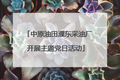 中原油田濮东采油厂开展主题党日活动