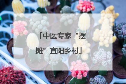 中医专家“摆摊”宜阳乡村