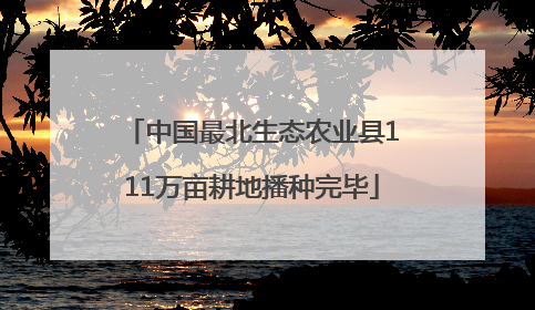 中国最北生态农业县111万亩耕地播种完毕