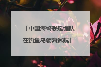 中国海警舰艇编队在钓鱼岛领海巡航