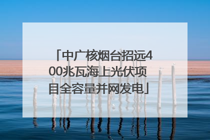 中广核烟台招远400兆瓦海上光伏项目全容量并网发电
