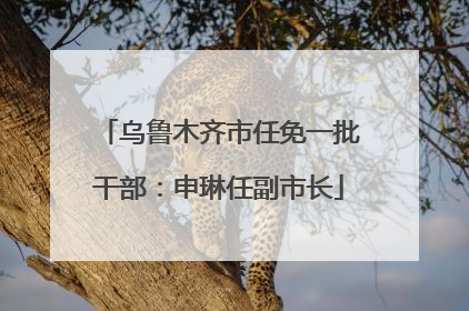 乌鲁木齐市任免一批干部：申琳任副市长