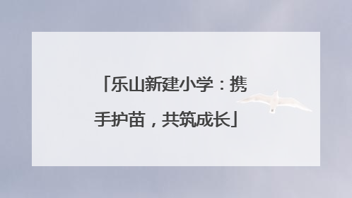 乐山新建小学：携手护苗，共筑成长