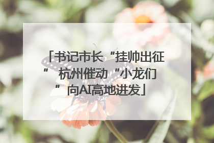 书记市长“挂帅出征” 杭州催动“小龙们”向AI高地进发