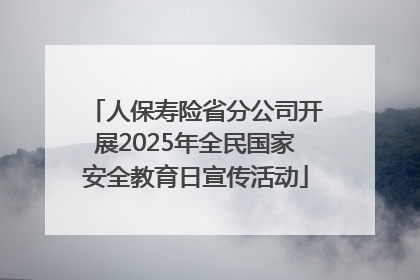 人保寿险省分公司开展2025年全民国家安全教育日宣传活动