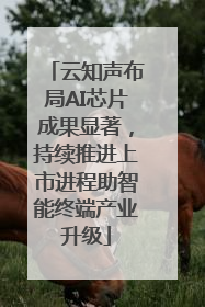 云知声布局AI芯片成果显著，持续推进上市进程助智能终端产业升级