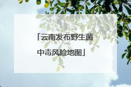 云南发布野生菌中毒风险地图
