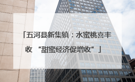 五河县新集镇：水蜜桃喜丰收 “甜蜜经济促增收”