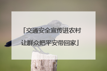 交通安全宣传进农村 让群众把平安带回家