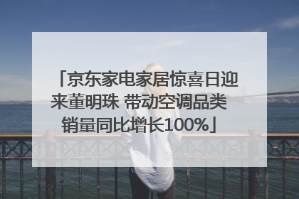 京东家电家居惊喜日迎来董明珠 带动空调品类销量同比增长100%