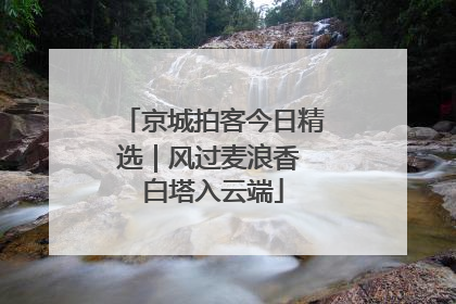 京城拍客今日精选｜风过麦浪香 白塔入云端