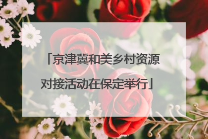 京津冀和美乡村资源对接活动在保定举行