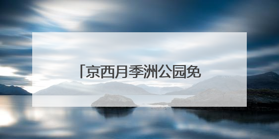 京西月季洲公园免费开放，市民假期驱车前来赏花打卡