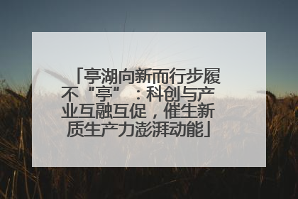 亭湖向新而行步履不“亭”：科创与产业互融互促，催生新质生产力澎湃动能