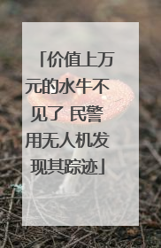 价值上万元的水牛不见了 民警用无人机发现其踪迹
