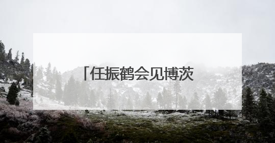 任振鹤会见博茨瓦纳国民议会议长凯奥拉佩采一行