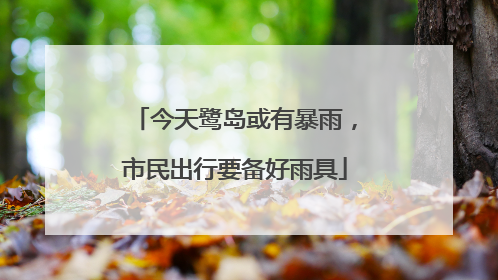 今天鹭岛或有暴雨，市民出行要备好雨具