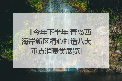 今年下半年 青岛西海岸新区精心打造八大重点消费类展览