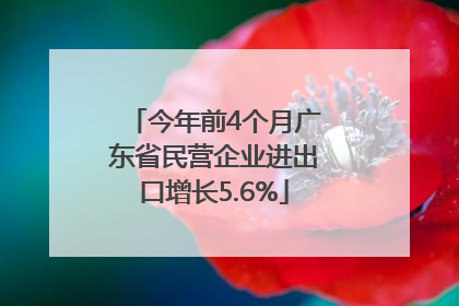 今年前4个月广东省民营企业进出口增长5.6%