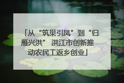 从“筑巢引凤”到“归雁兴洪” 洪江市创新推动农民工返乡创业