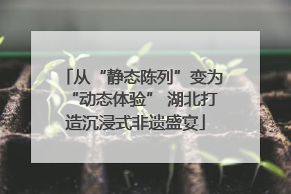从“静态陈列”变为“动态体验” 湖北打造沉浸式非遗盛宴
