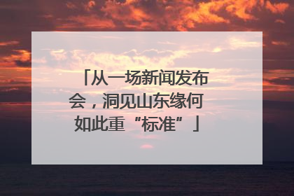从一场新闻发布会，洞见山东缘何如此重“标准”