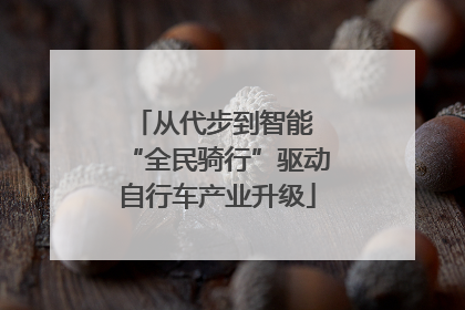 从代步到智能 “全民骑行”驱动自行车产业升级