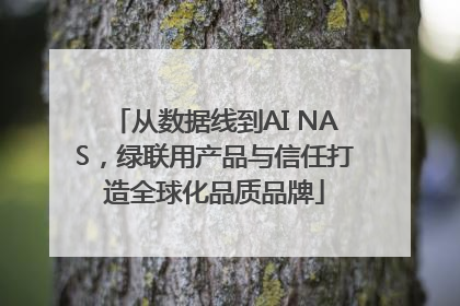 从数据线到AI NAS，绿联用产品与信任打造全球化品质品牌