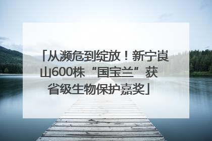 从濒危到绽放！新宁崀山600株“国宝兰”获省级生物保护嘉奖