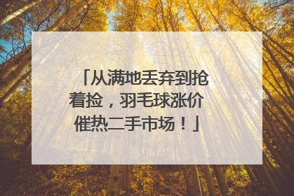 从满地丢弃到抢着捡，羽毛球涨价催热二手市场！