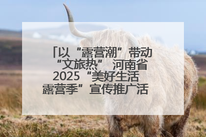 以“露营潮”带动“文旅热” 河南省2025“美好生活露营季”宣传推广活动在平舆县启动
