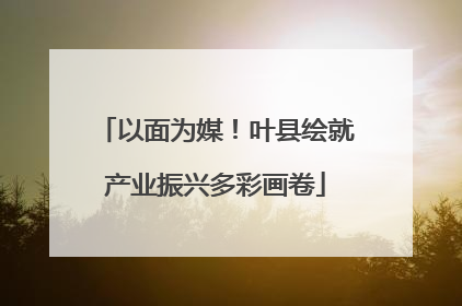 以面为媒！叶县绘就产业振兴多彩画卷