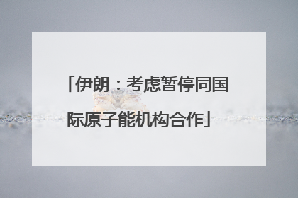 伊朗：考虑暂停同国际原子能机构合作