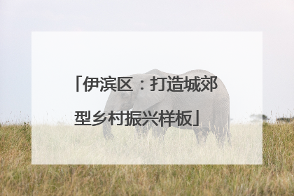 伊滨区：打造城郊型乡村振兴样板