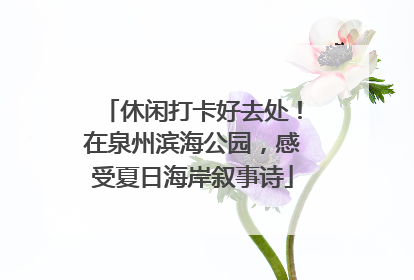 休闲打卡好去处！在泉州滨海公园，感受夏日海岸叙事诗