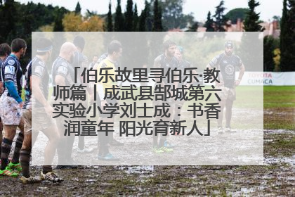 伯乐故里寻伯乐·教师篇丨成武县郜城第六实验小学刘士成：书香润童年 阳光育新人