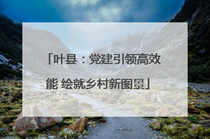 叶县：党建引领高效能 绘就乡村新图景