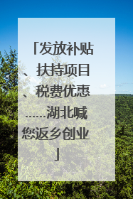 发放补贴、扶持项目、税费优惠……湖北喊您返乡创业