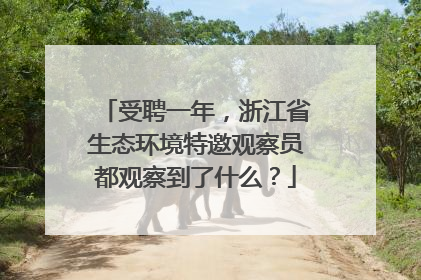 受聘一年，浙江省生态环境特邀观察员都观察到了什么？