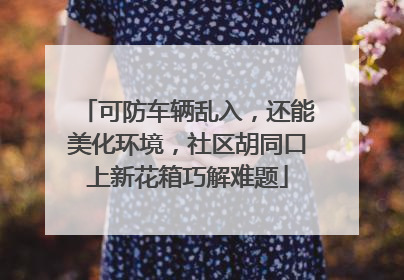 可防车辆乱入，还能美化环境，社区胡同口上新花箱巧解难题