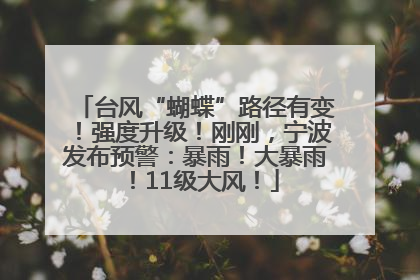 台风“蝴蝶”路径有变！强度升级！刚刚，宁波发布预警：暴雨！大暴雨！11级大风！