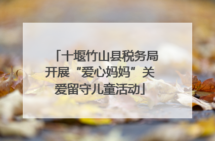 十堰竹山县税务局开展“爱心妈妈”关爱留守儿童活动