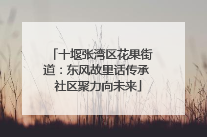 十堰张湾区花果街道：东风故里话传承 社区聚力向未来