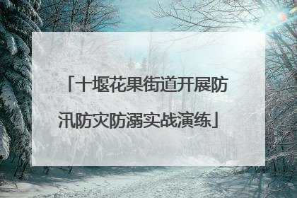 十堰花果街道开展防汛防灾防溺实战演练