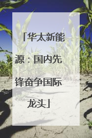 华太新能源：国内先锋奋争国际龙头